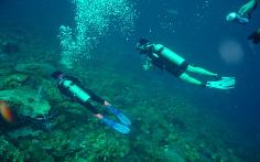 Bonaire plonger sous marine